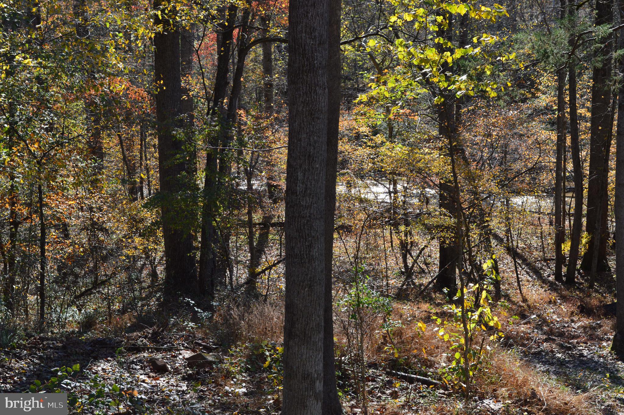 MOONSHINE MOUNTAIN - Residential