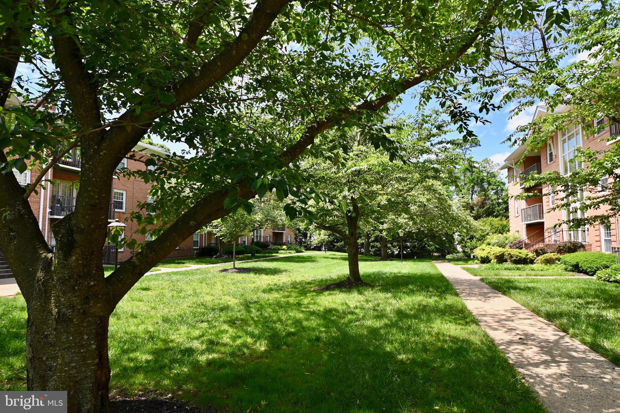 REGENCY AT BAILEYS - Residential