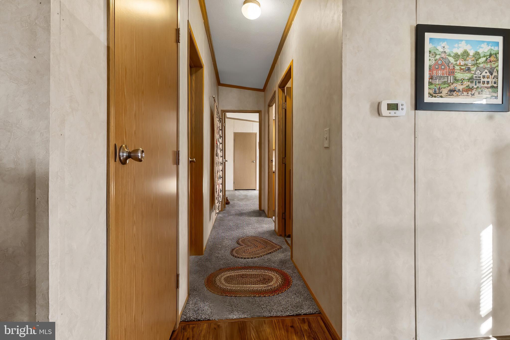 VILLAGE SCENE TR P - Residential