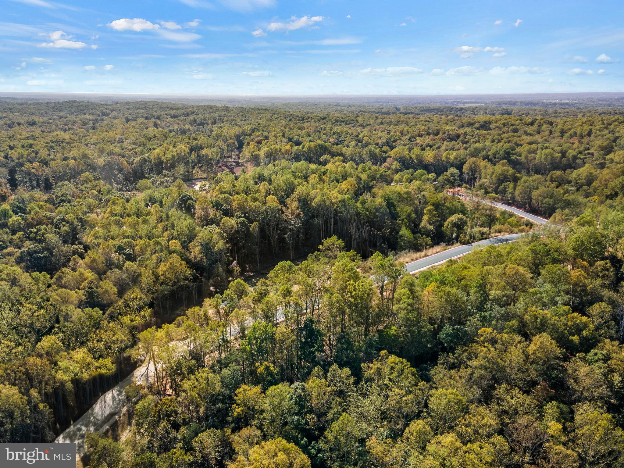 THE PRESERVE AT LONG BRANCH - Residential