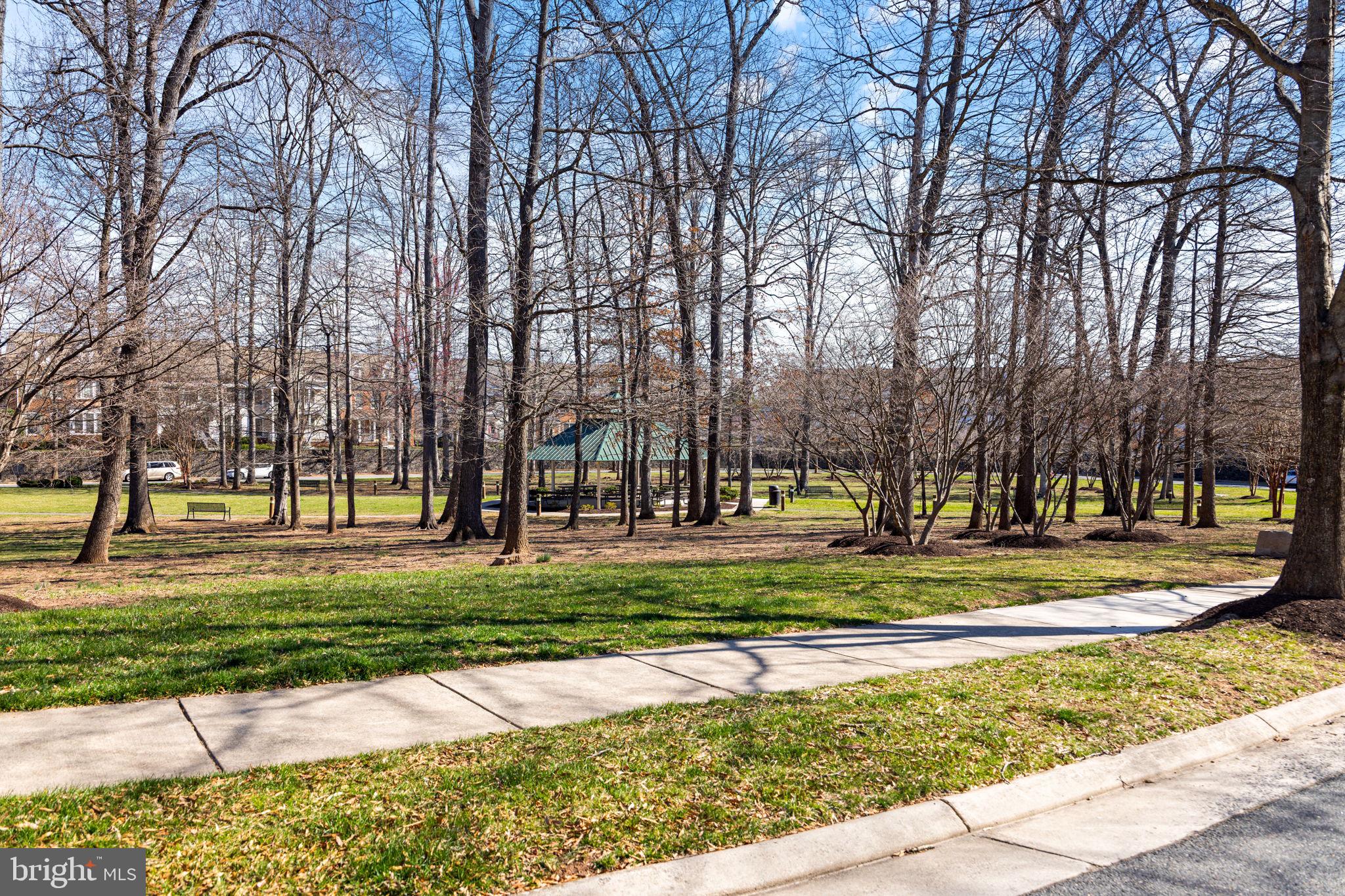 RED CEDAR MIDDLE VILLAGE - Residential