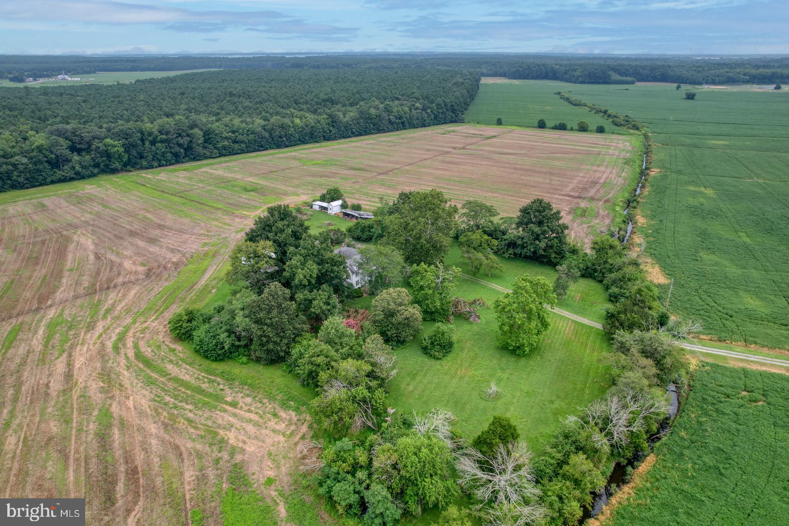 NONE AVAILABLE - Farm