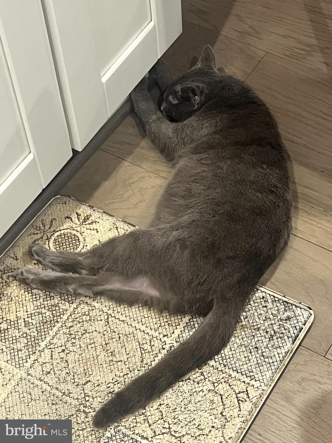 ARLINGTON - Residential