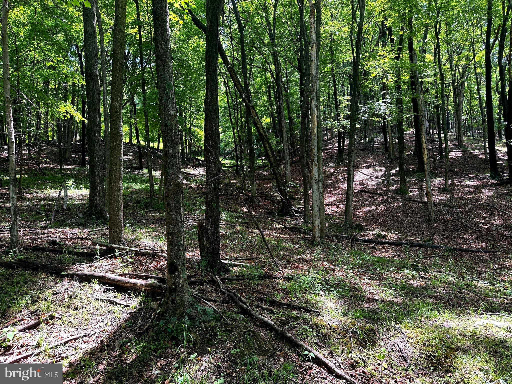114 acs PATTERSON CREEK ROAD