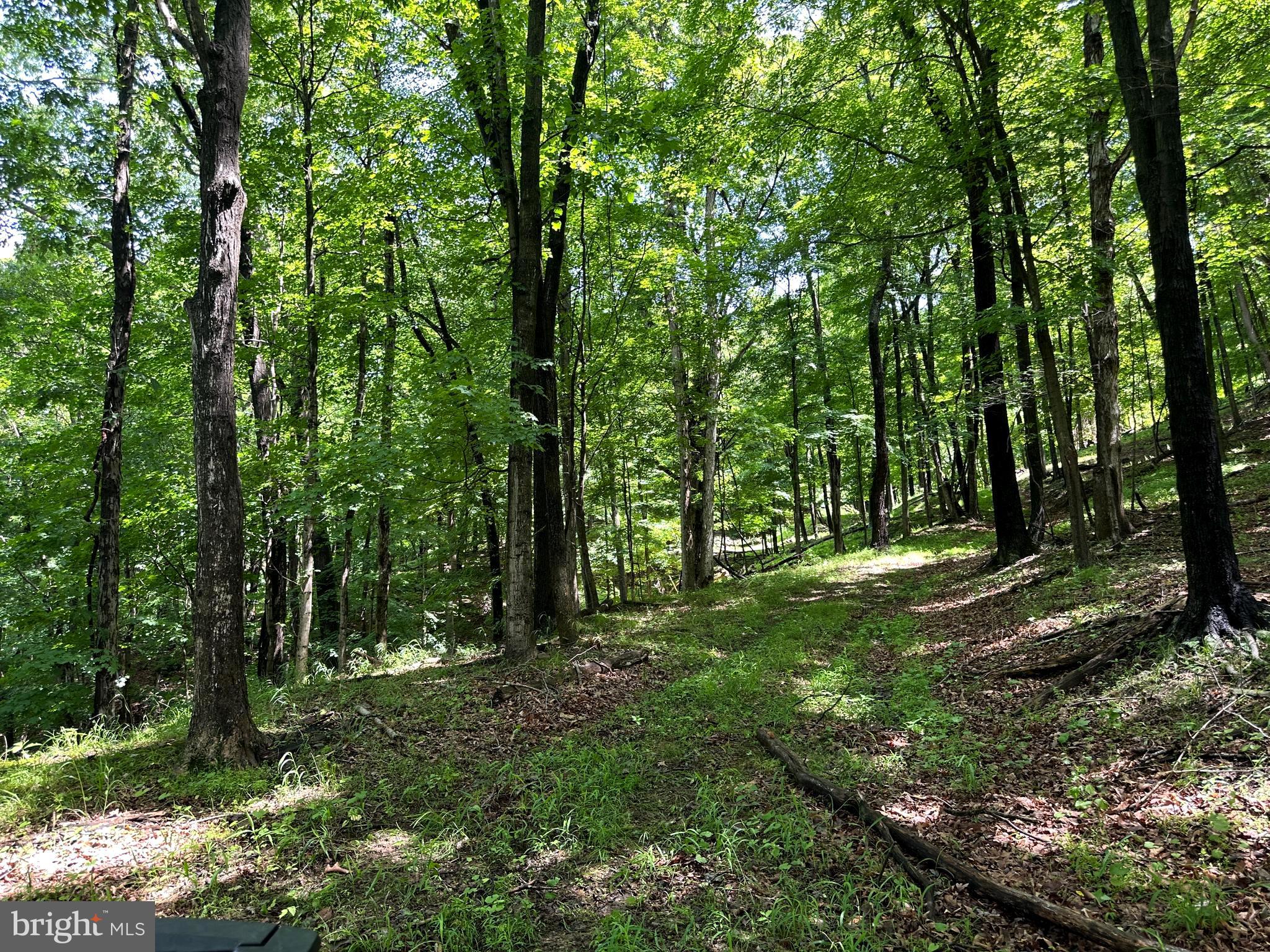 114 acs PATTERSON CREEK ROAD