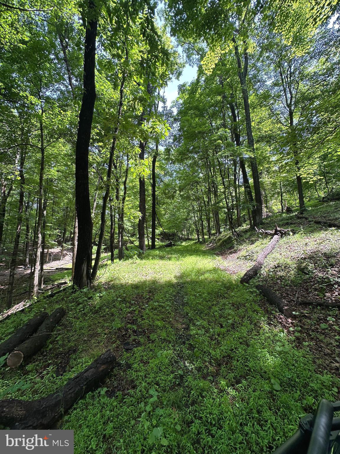 114 acs PATTERSON CREEK ROAD