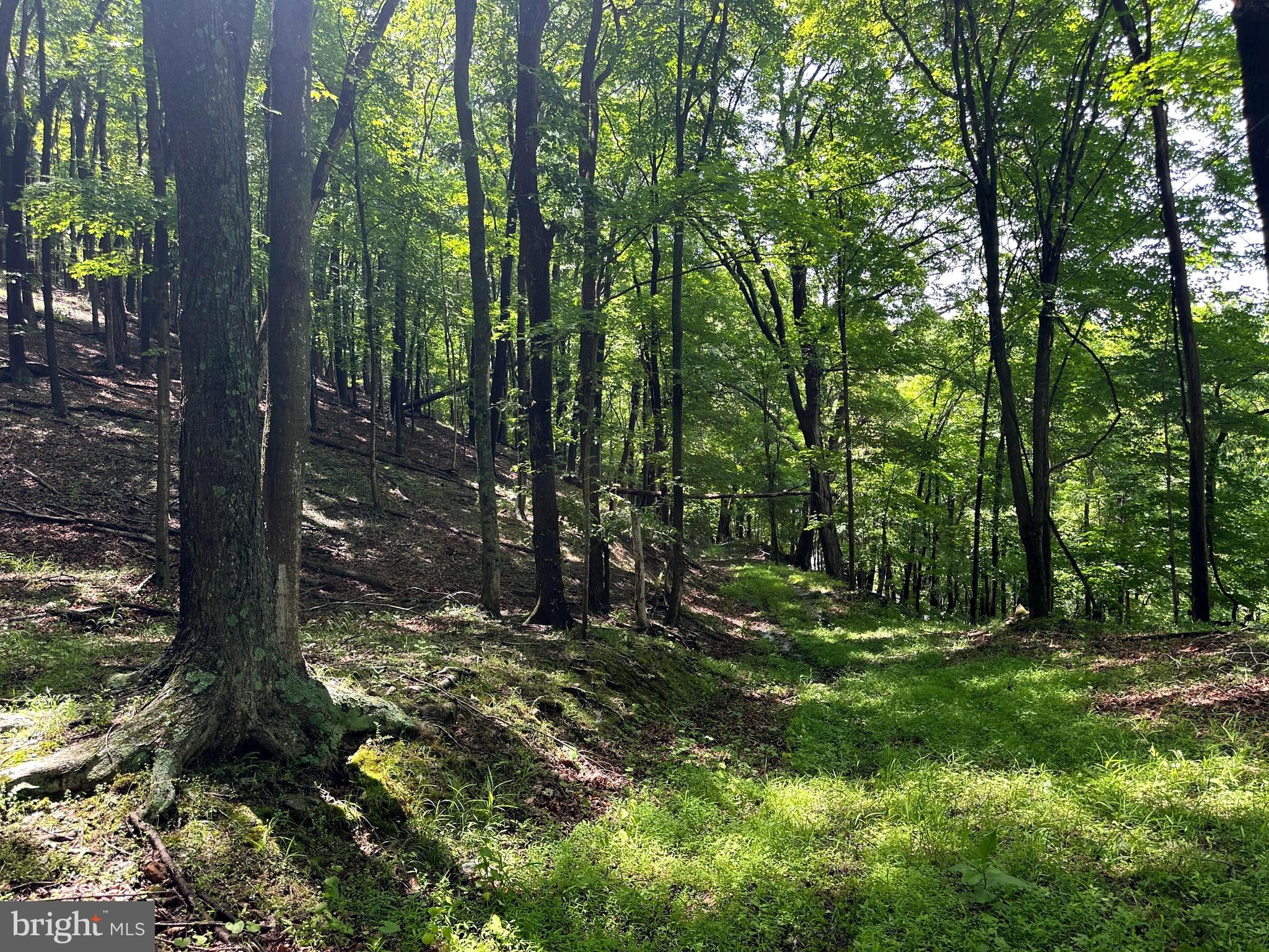 114 acs PATTERSON CREEK ROAD
