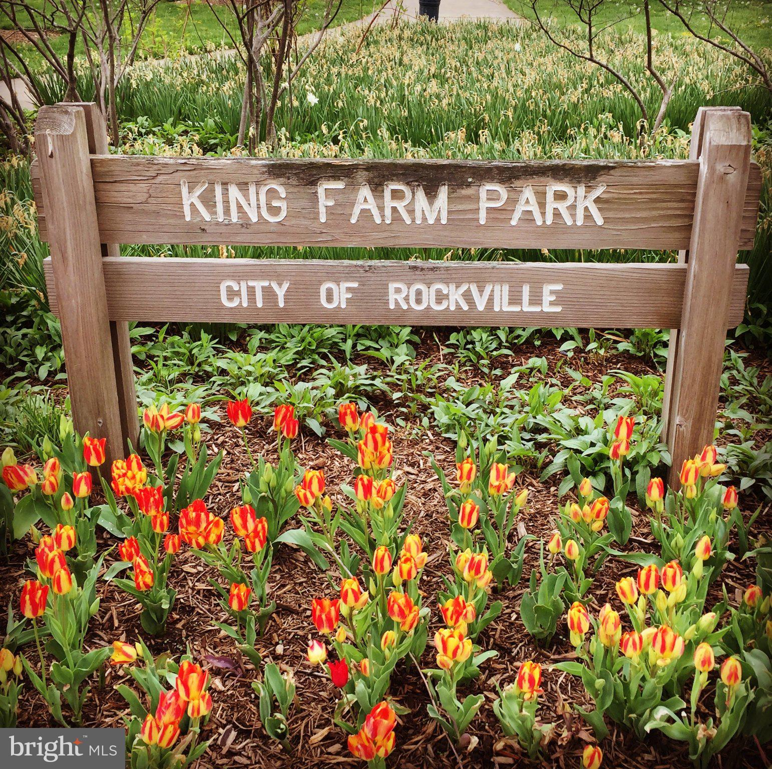 KING FARM BAILEYS COMMON - Residential