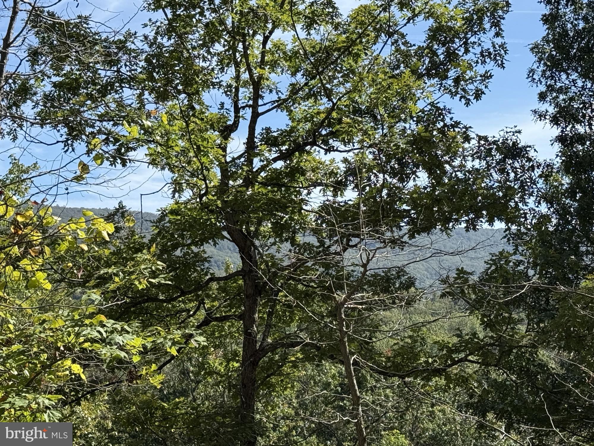 Lot 59 OLD OREGON ROAD