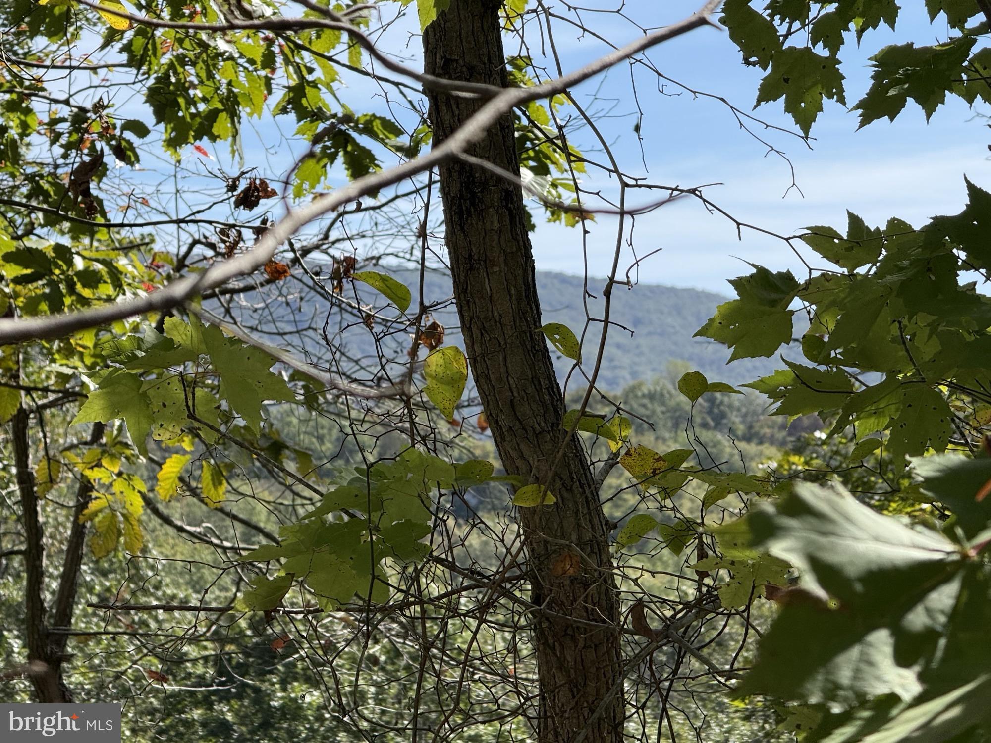 Lot 59 OLD OREGON ROAD