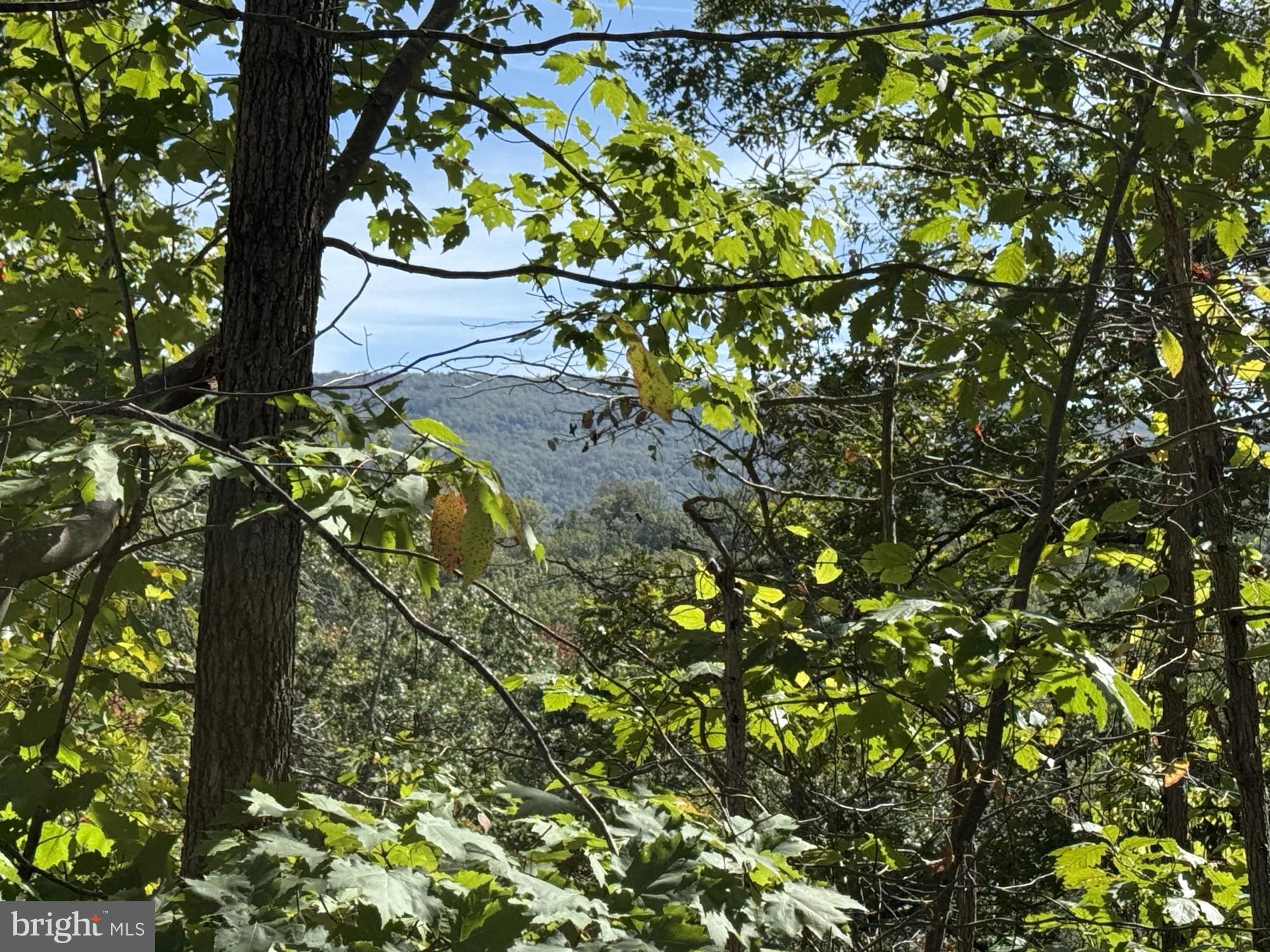 Lot 59 OLD OREGON ROAD