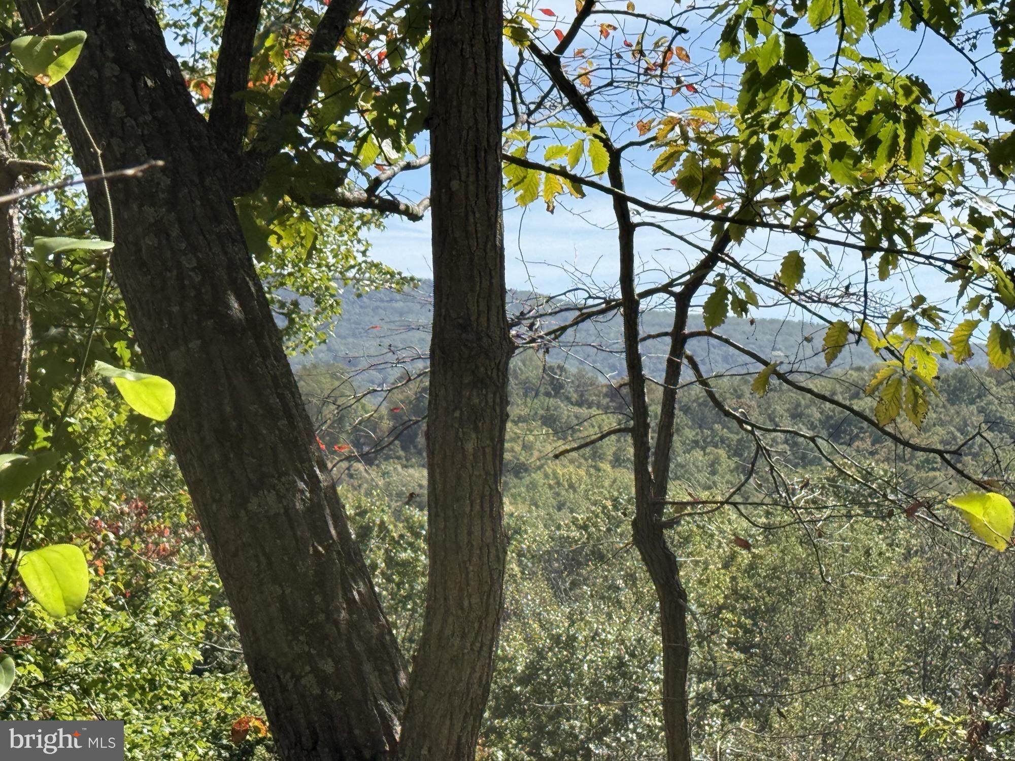 Lot 59 OLD OREGON ROAD