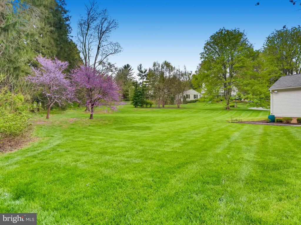 RUXTON/RIDERWOOD - Residential