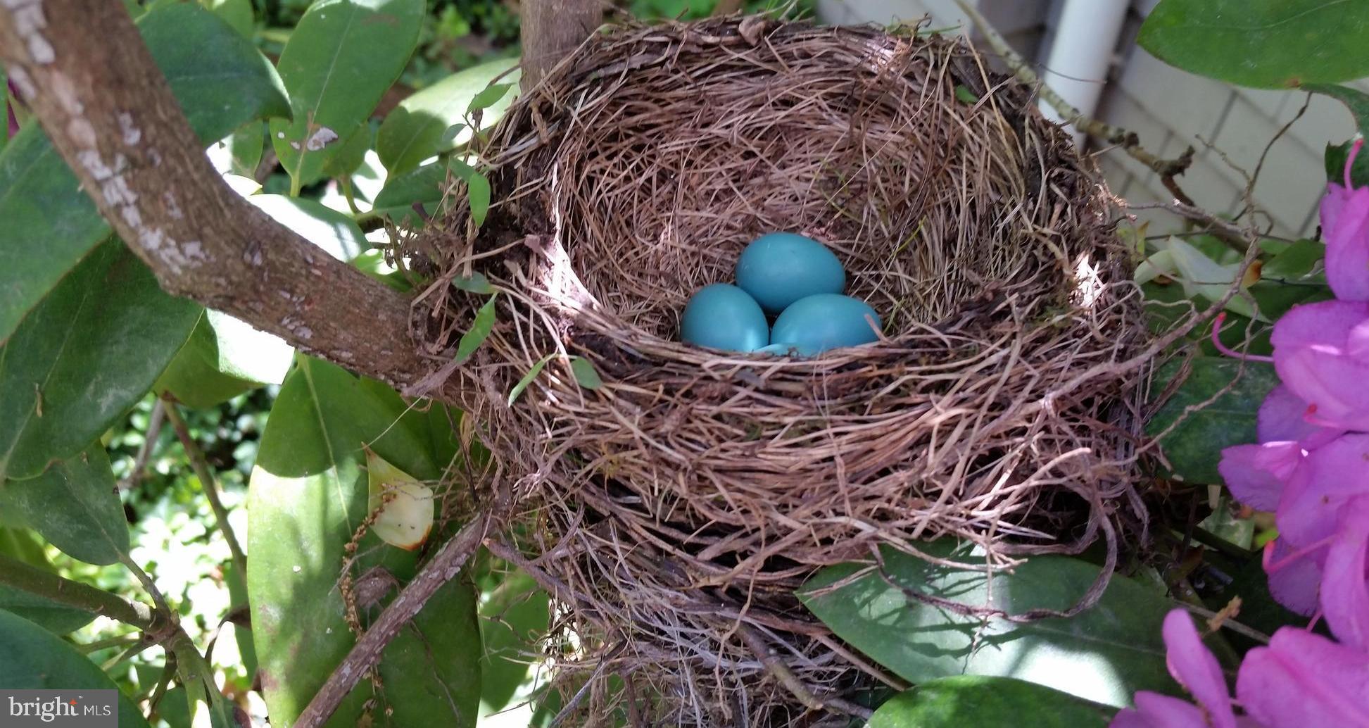 RUXTON/RIDERWOOD - Residential