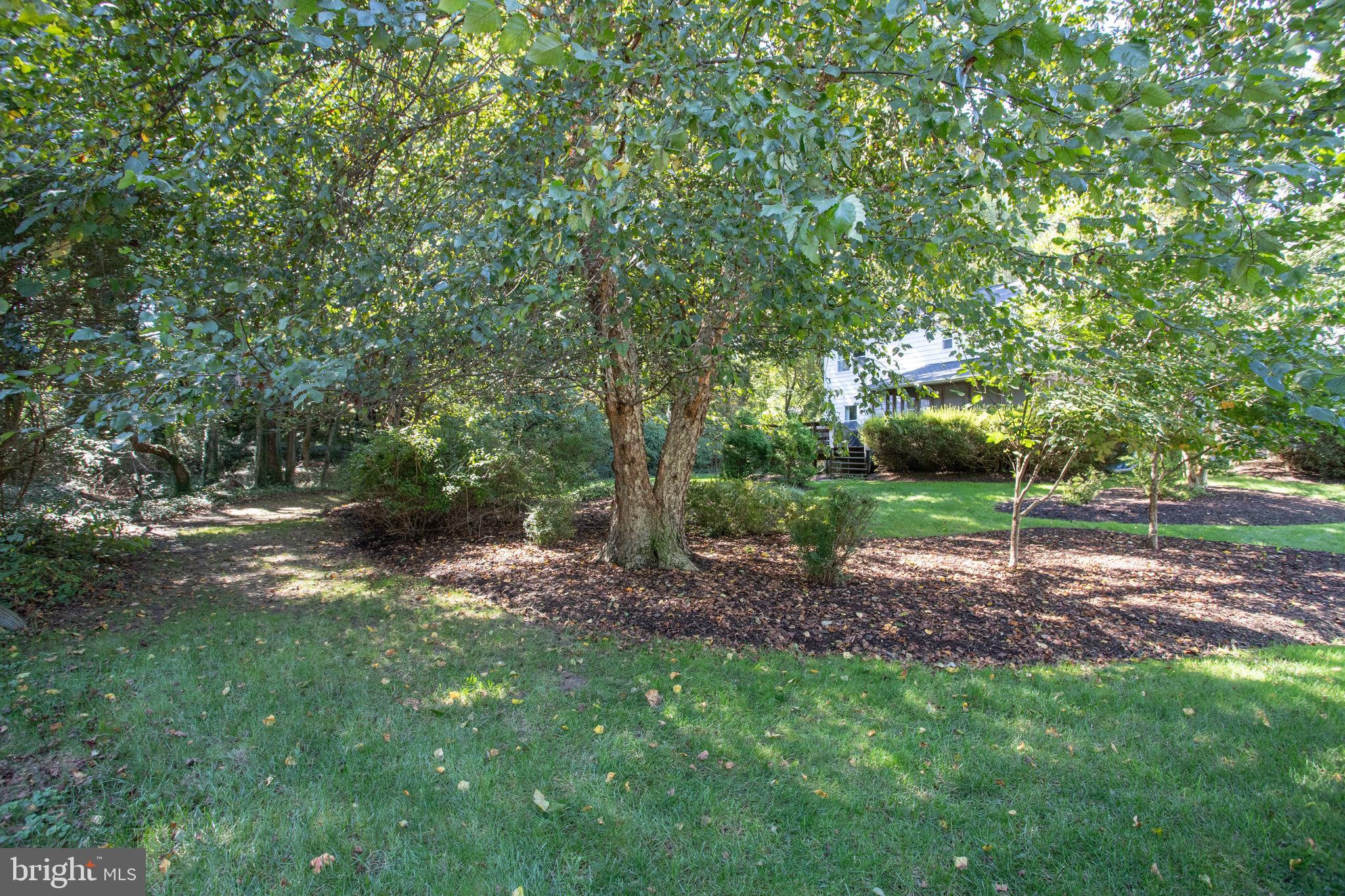 WAKEFIELD CHAPEL WOODS - Residential