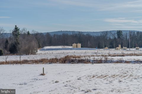 Tiny photo for 7606 Rose Valley Rd, TROUT RUN, PA 17771 (MLS # PALY2002200)