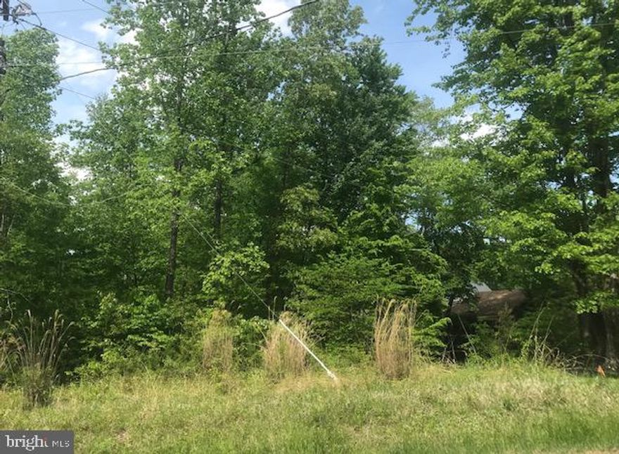 Motivated seller! $500 seller credit for shortening utility pole guide wire. Build your dream home on this wooded lot in beautiful Lake of the Woods. This lot is less than a block from a public beach, and a very short walk to the park, pool, and neighborhood clubhouse. Come see what the lake life is all about in this gated, amenity filled, lake community. Enjoy your days golfing, boating, fishing, or dining at the golf course or clubhouse!