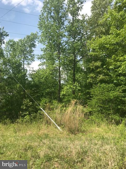 LAKE OF THE WOODS - Land