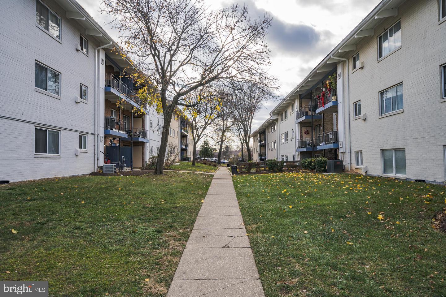 11352 CHERRY HILL ROAD 203
