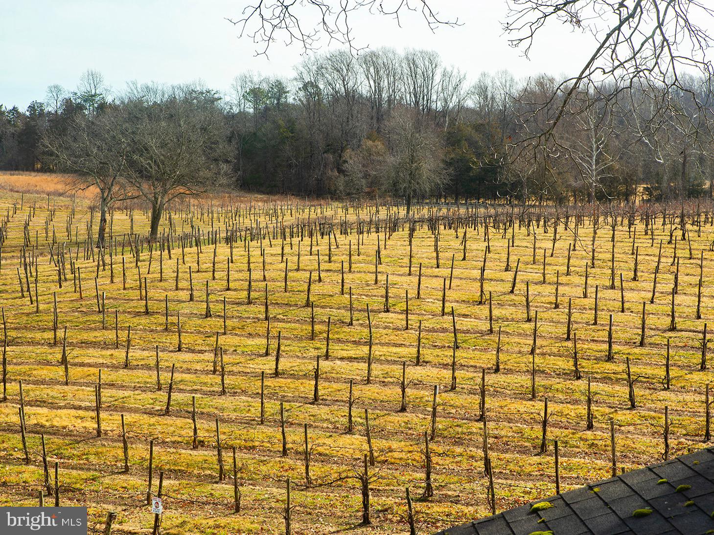 4500 WINERY LANE