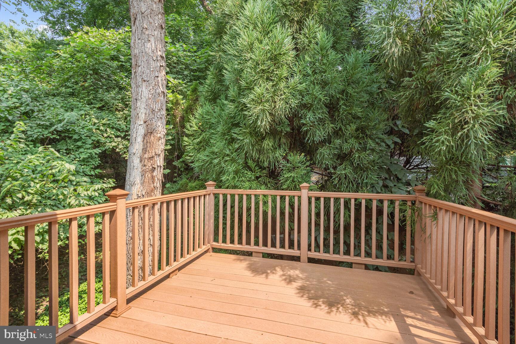 TAKOMA PARK - Residential