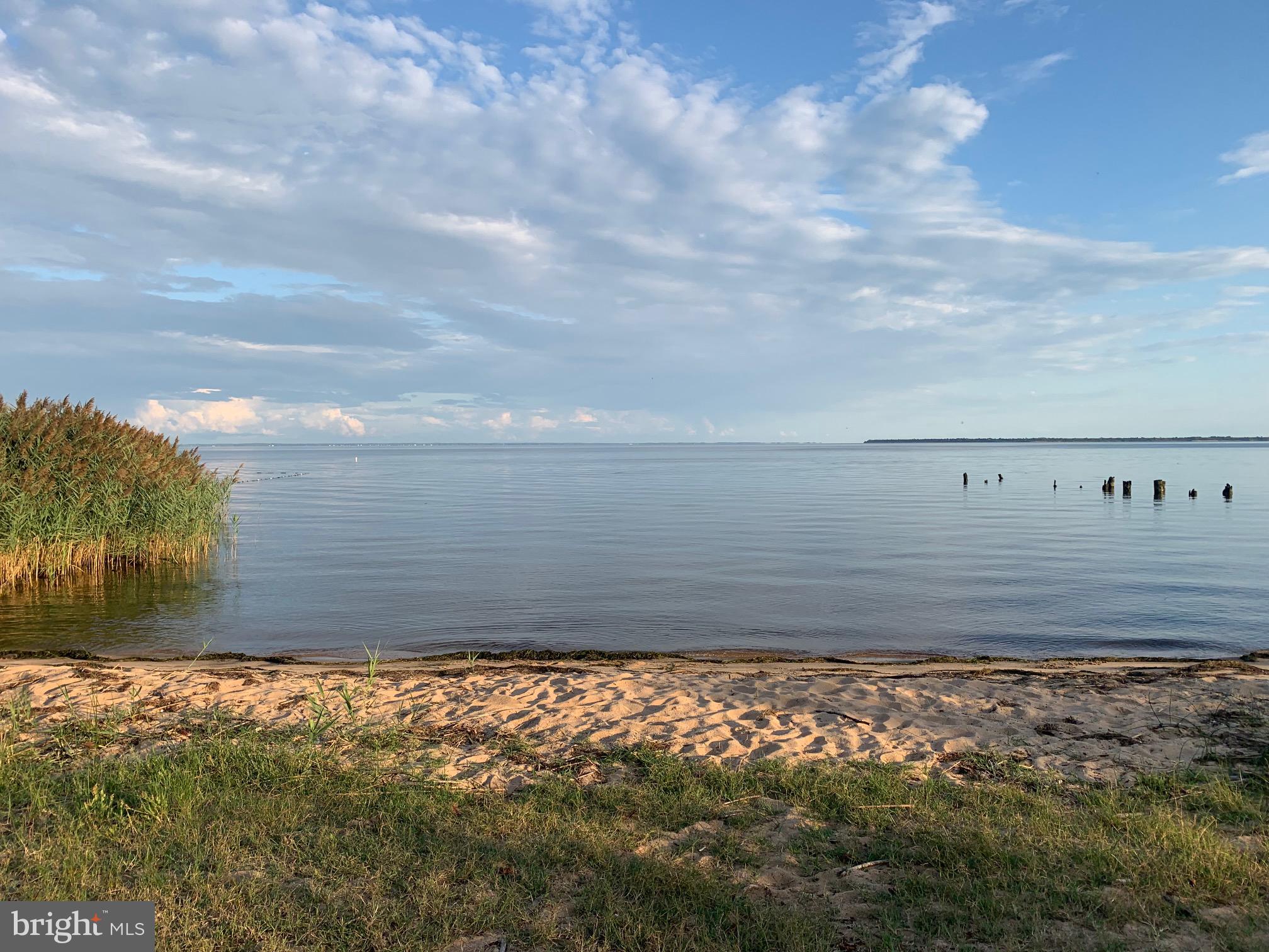 CARROLLWOOD MANOR - Residential