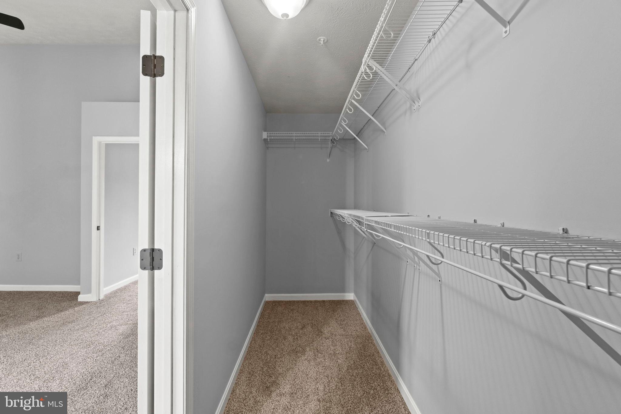 COLLEGE - Residential Lease