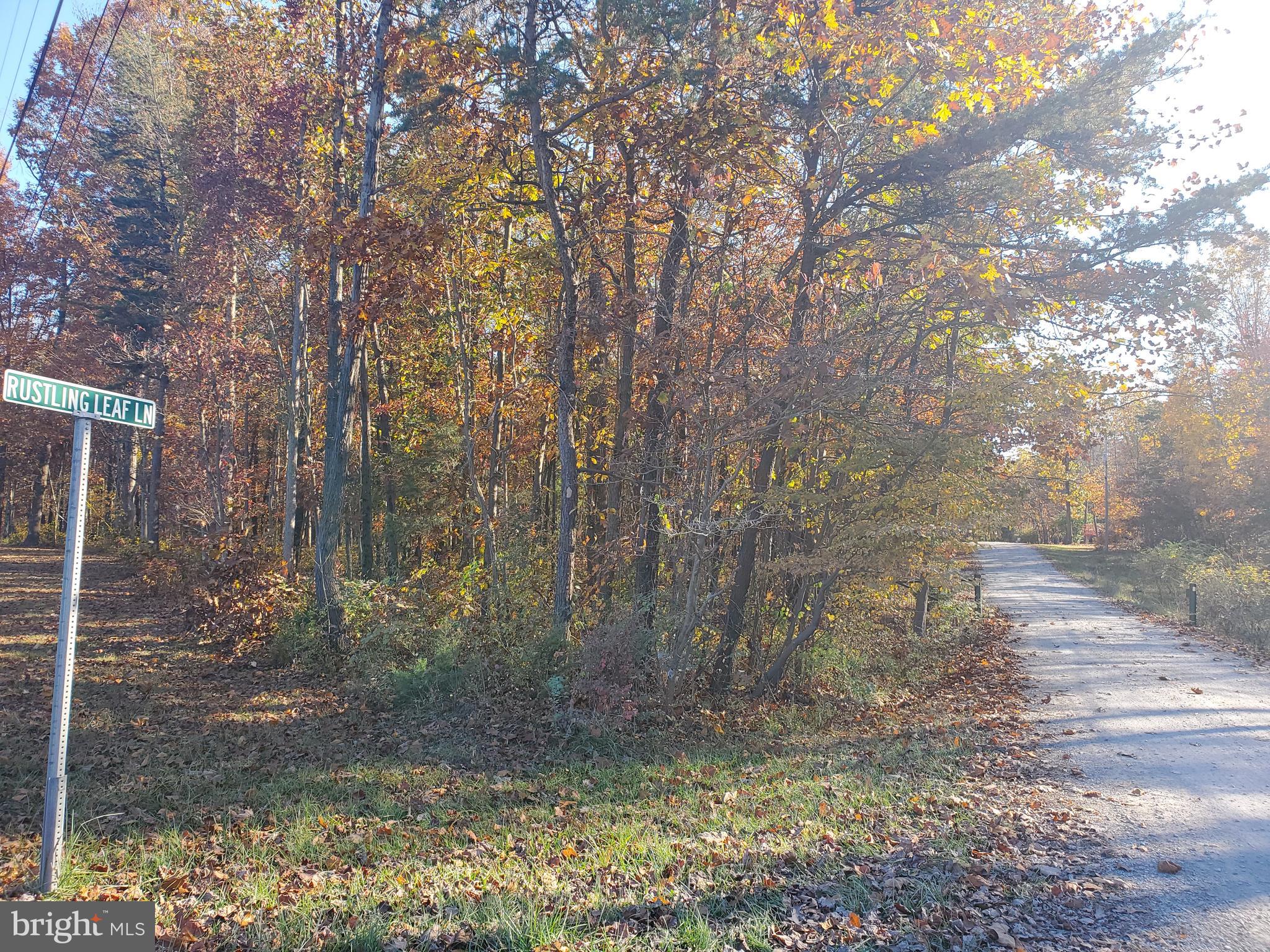 SLEEPY CREEK MOUNTAIN RETREAT - Land