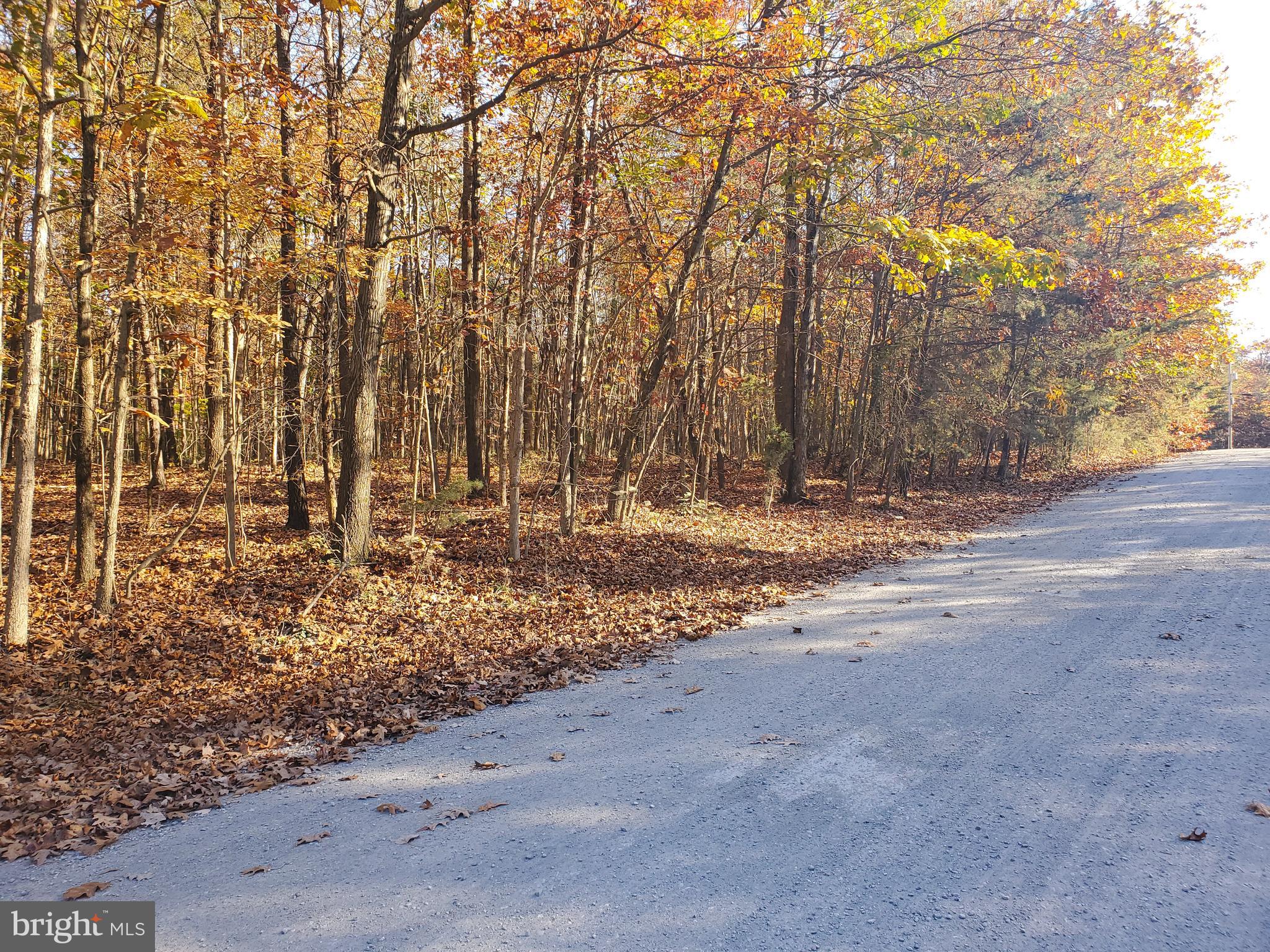 SLEEPY CREEK MOUNTAIN RETREAT - Land