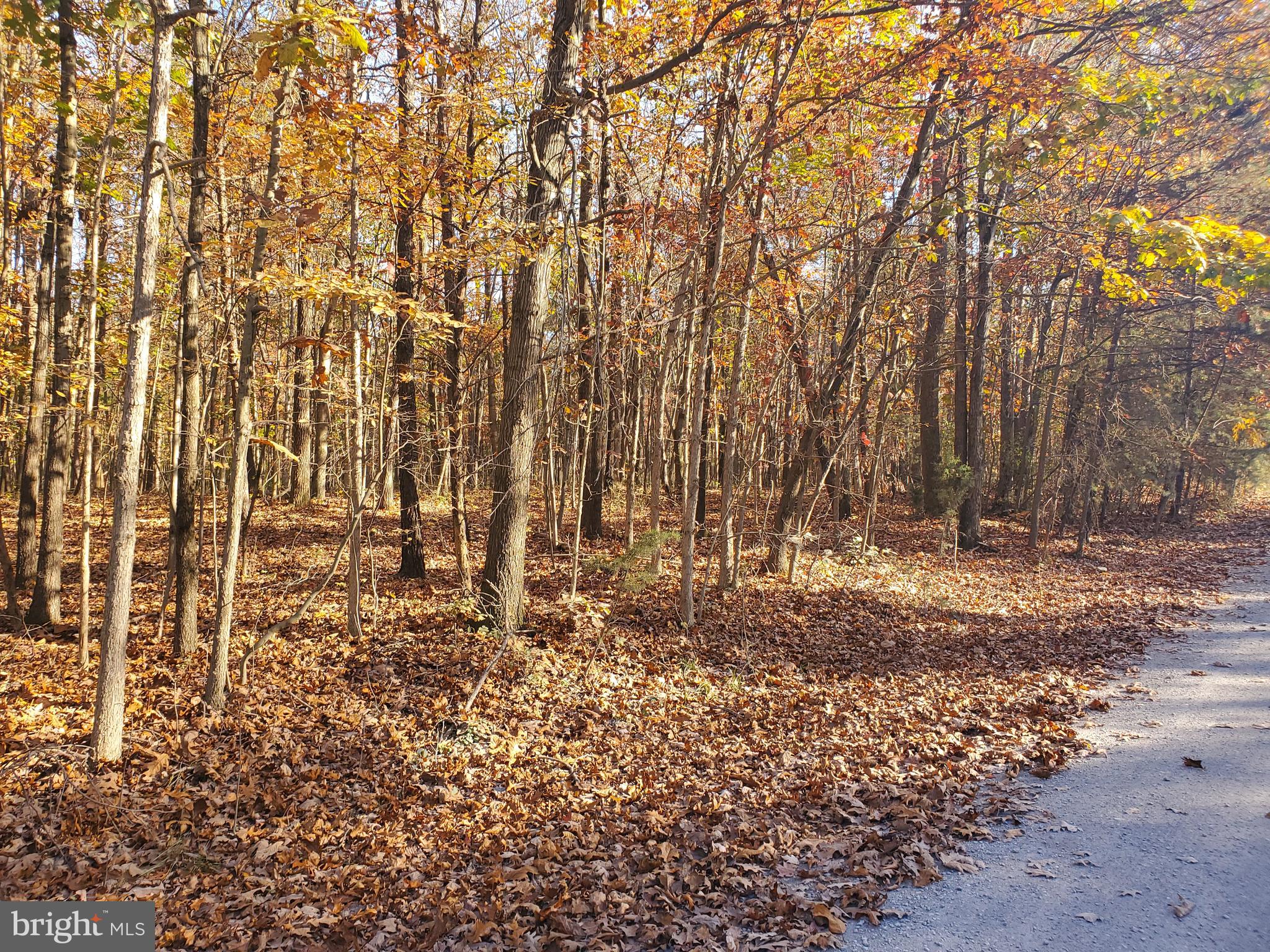 SLEEPY CREEK MOUNTAIN RETREAT - Land