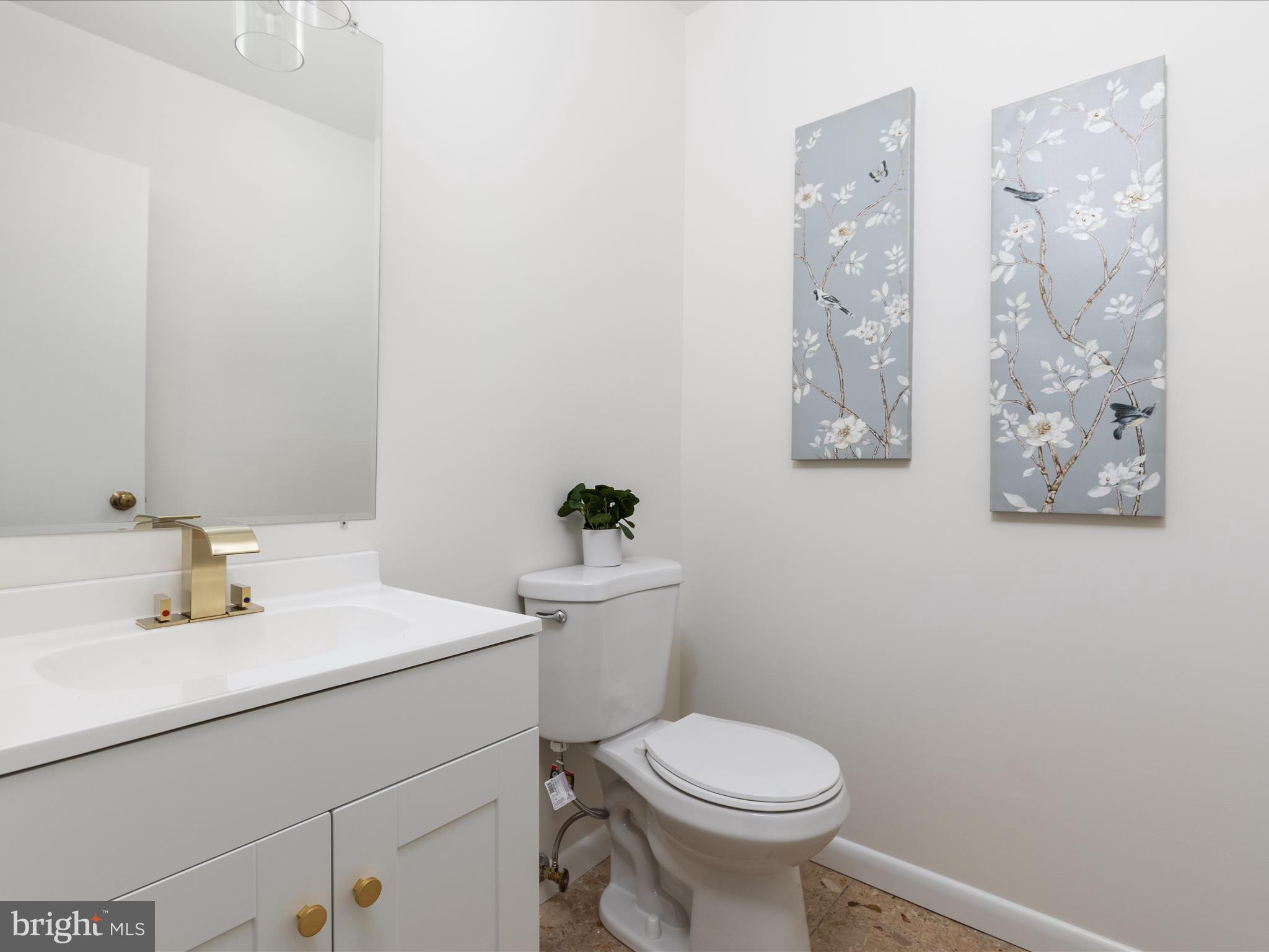 CHAIN BRIDGE FOREST - Residential