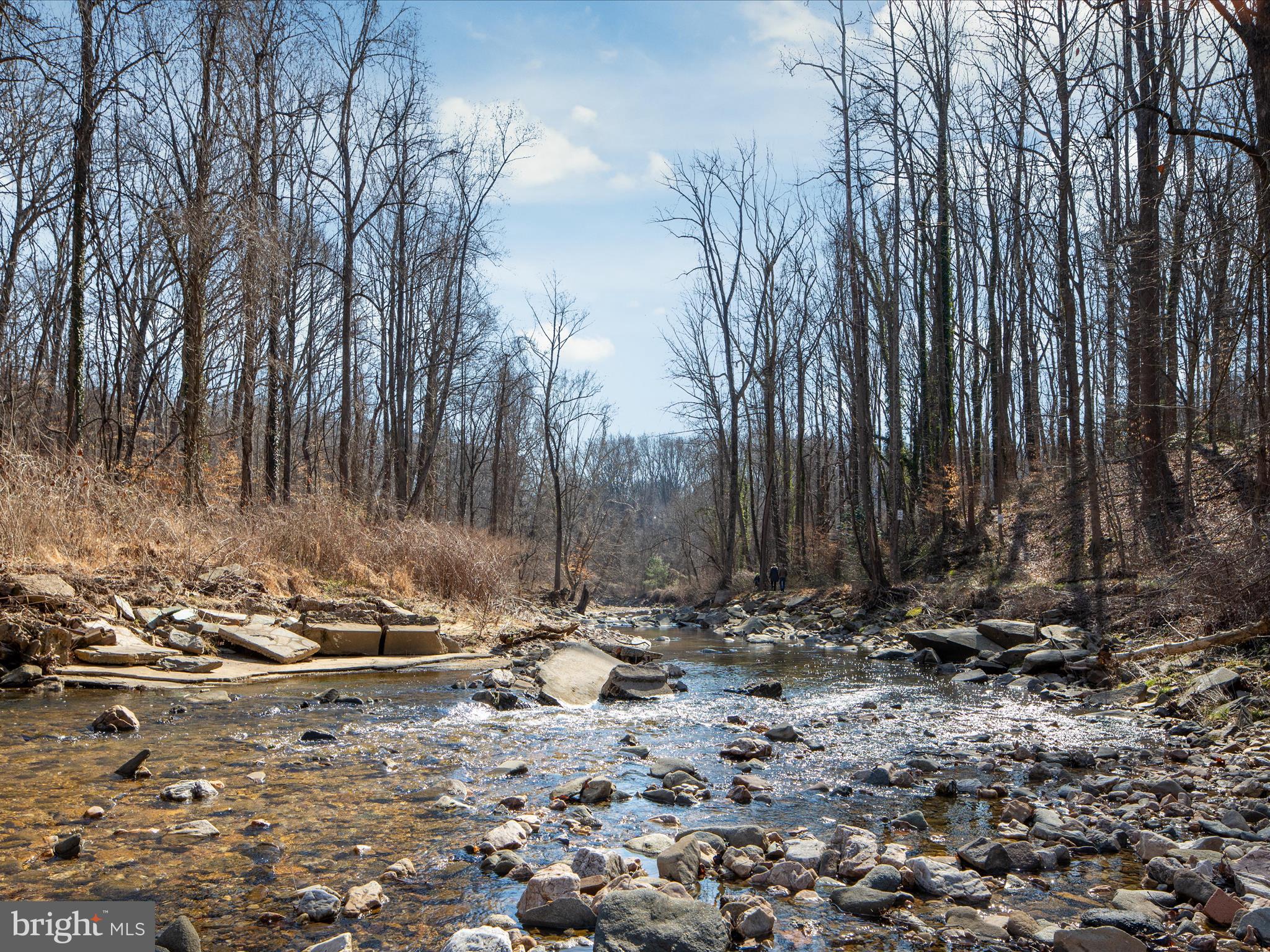CHAIN BRIDGE FOREST - Residential