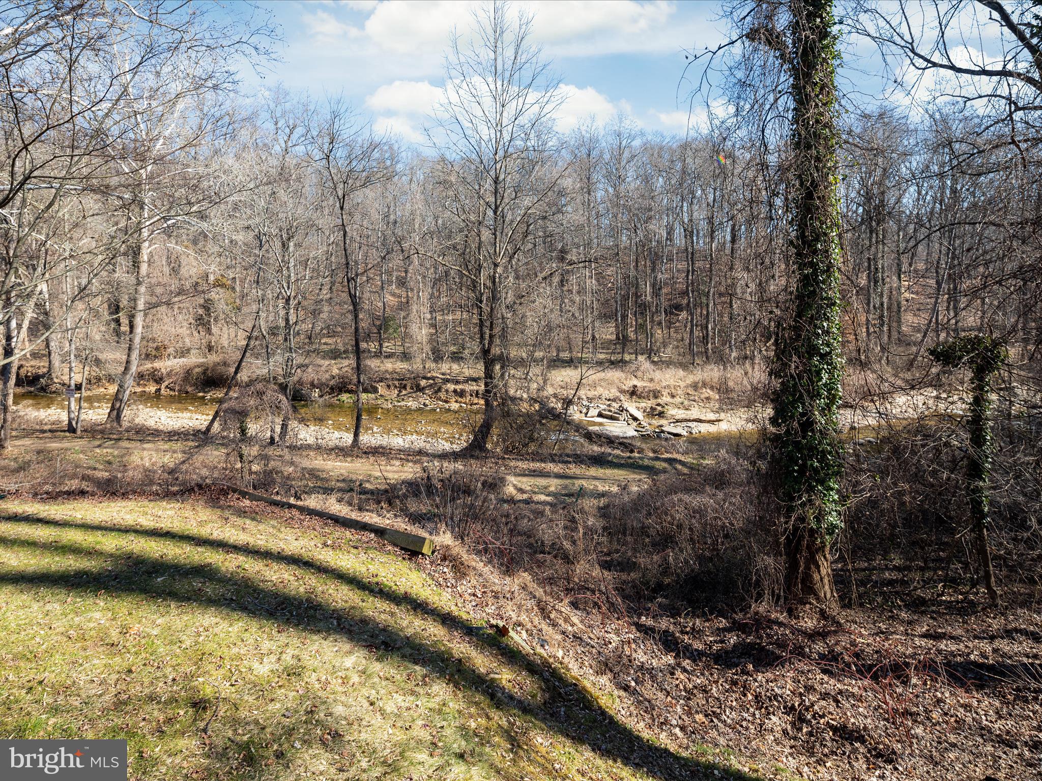 CHAIN BRIDGE FOREST - Residential