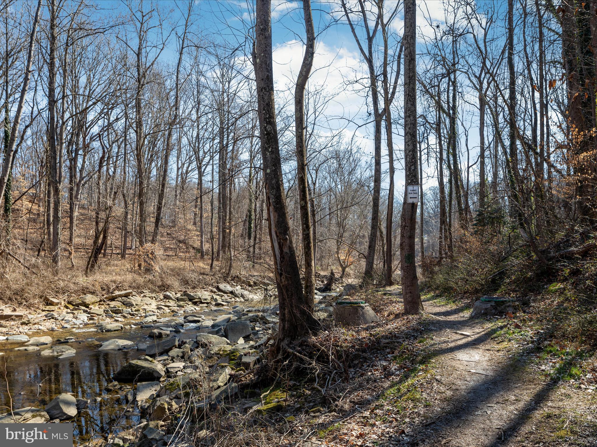 CHAIN BRIDGE FOREST - Residential