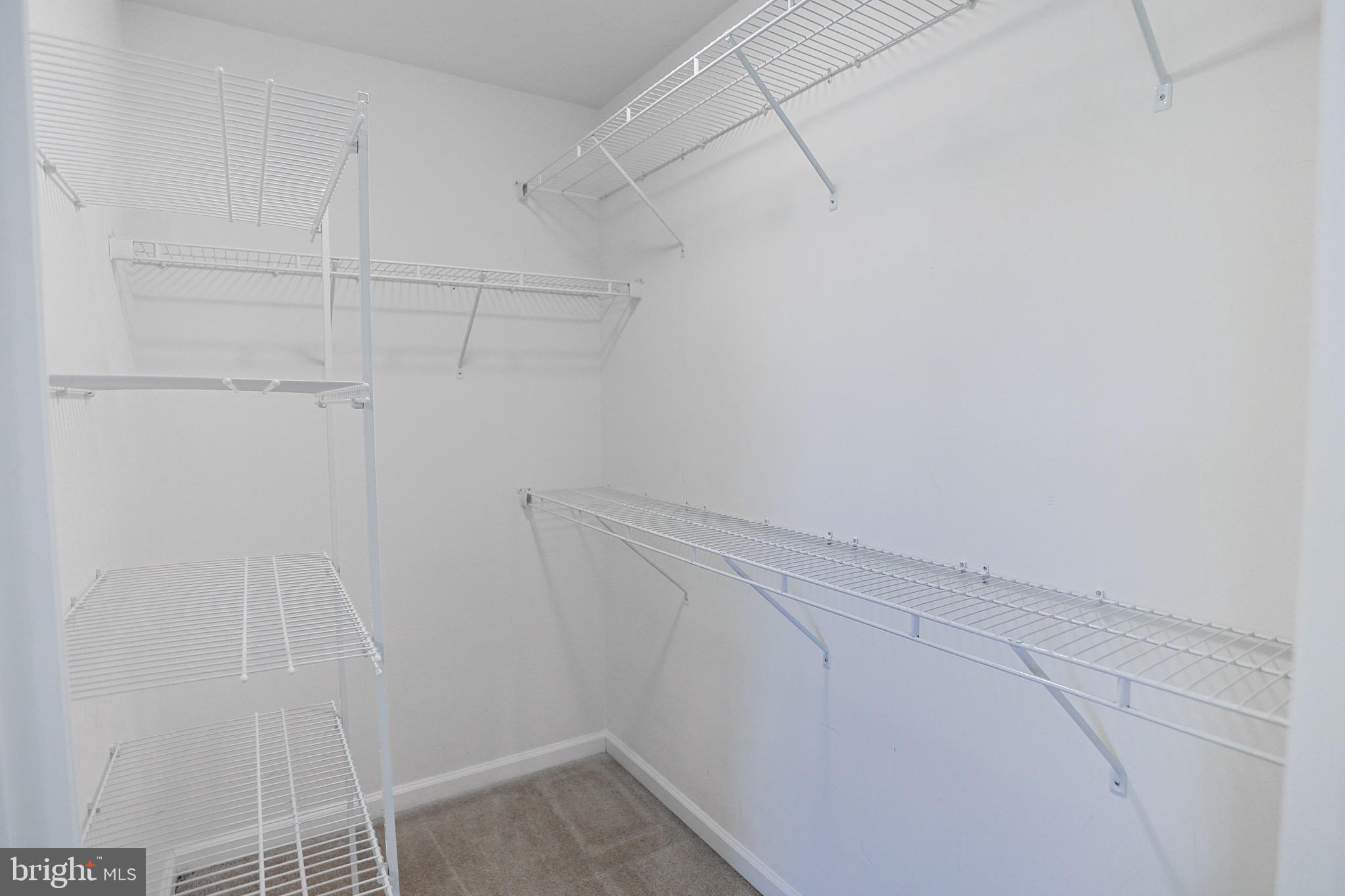 WAVERLY STATION - Residential