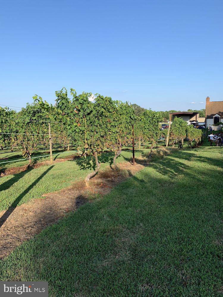 NONE AVAILABLE - Commercial Sale