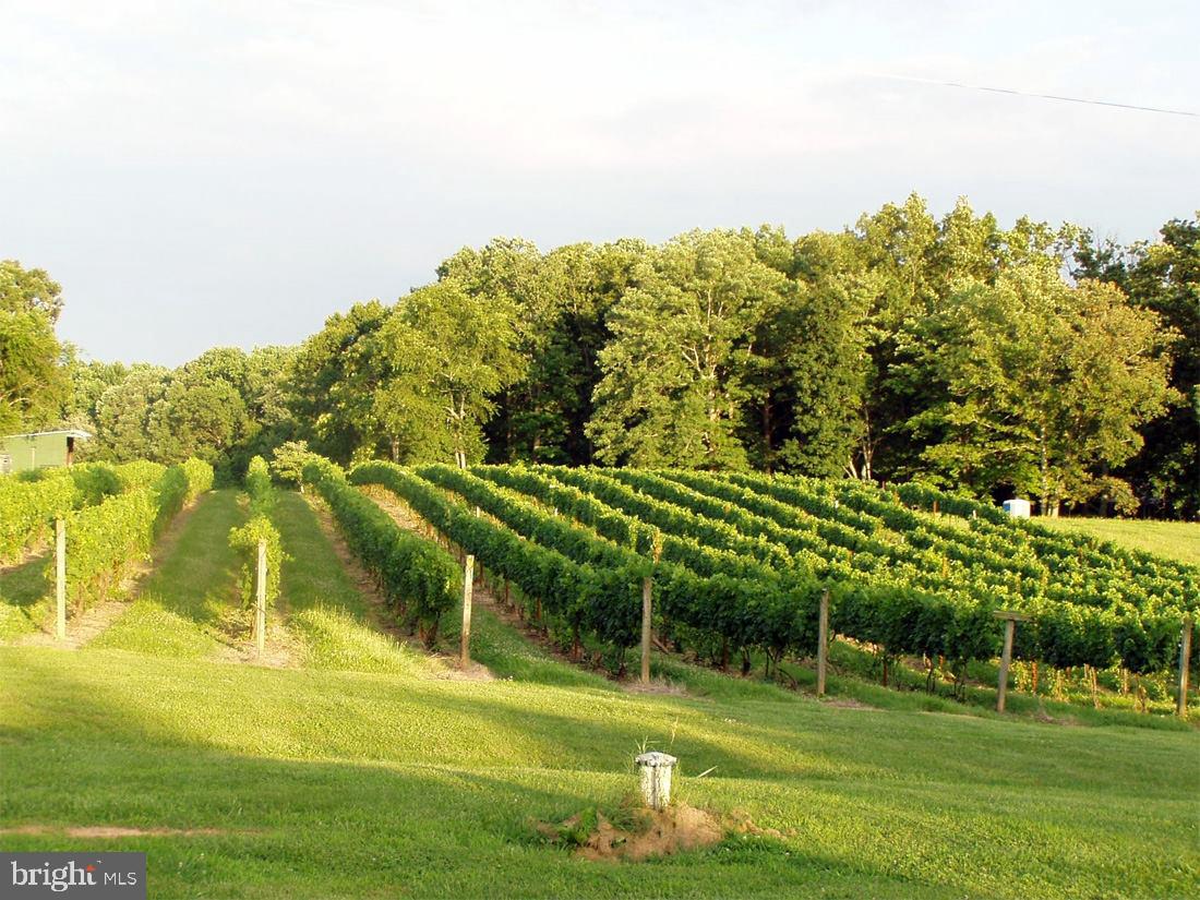 NONE AVAILABLE - Commercial Sale