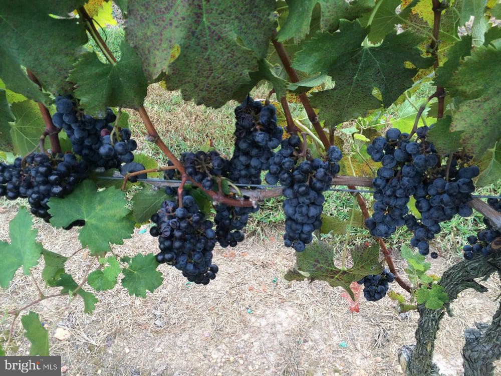 NONE AVAILABLE - Commercial Sale