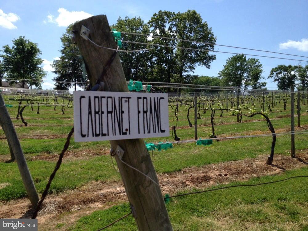 NONE AVAILABLE - Commercial Sale