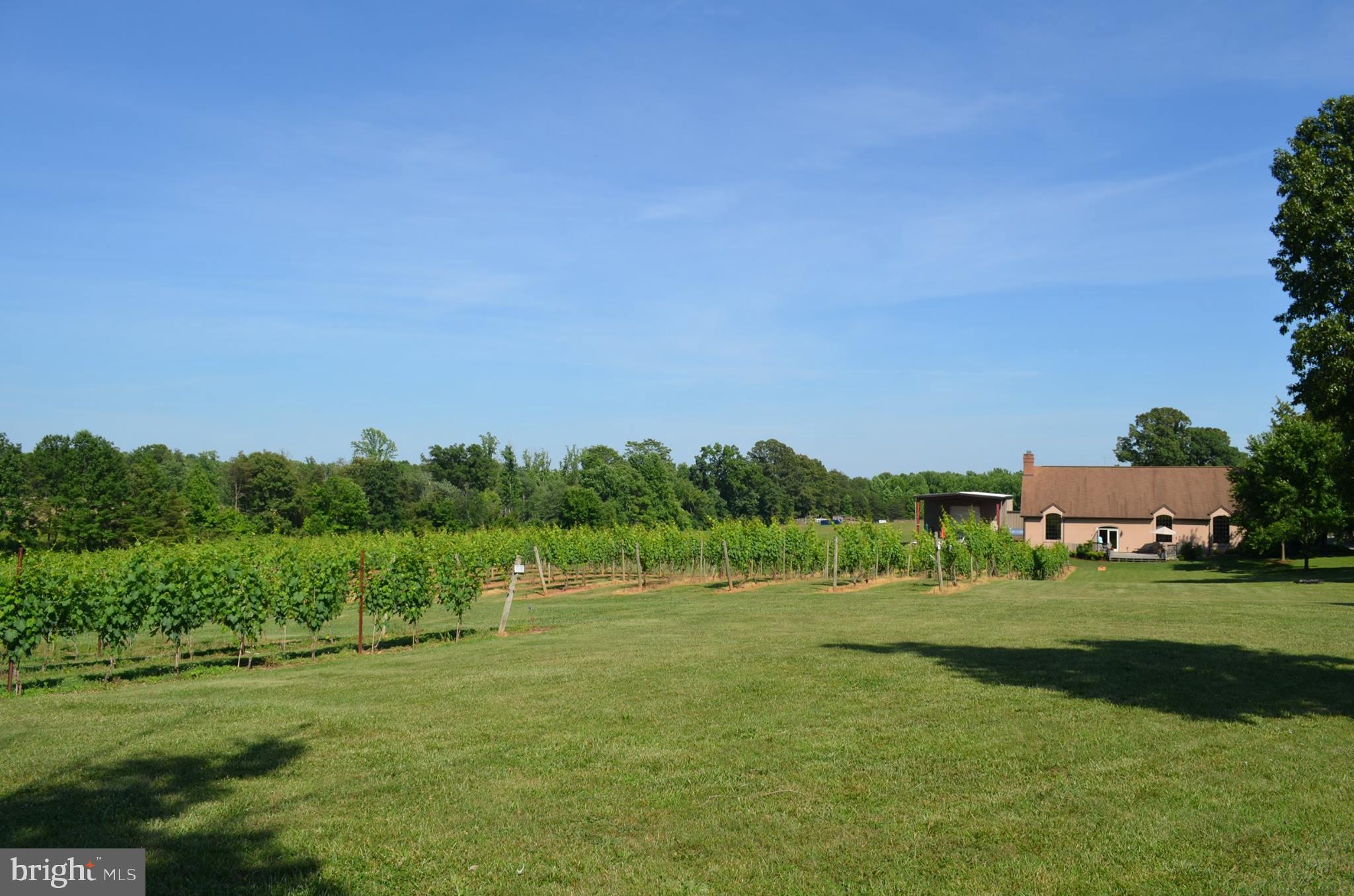 NONE AVAILABLE - Commercial Sale