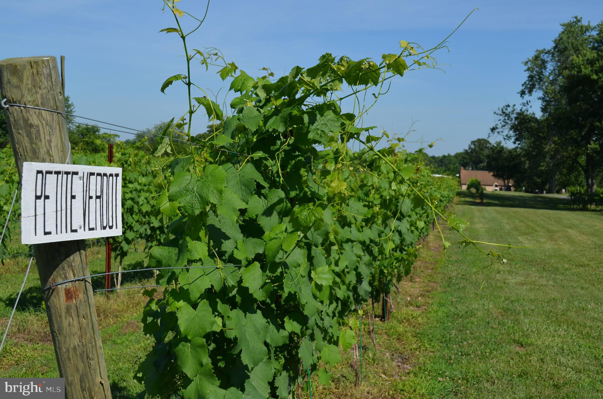 NONE AVAILABLE - Commercial Sale