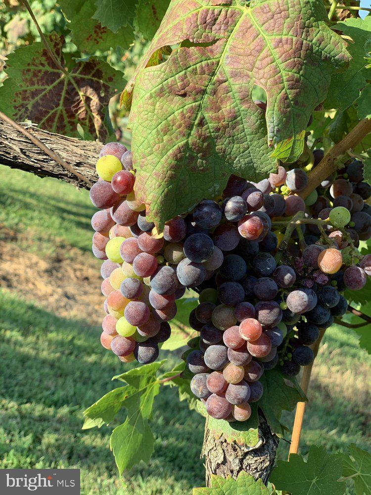 NONE AVAILABLE - Commercial Sale