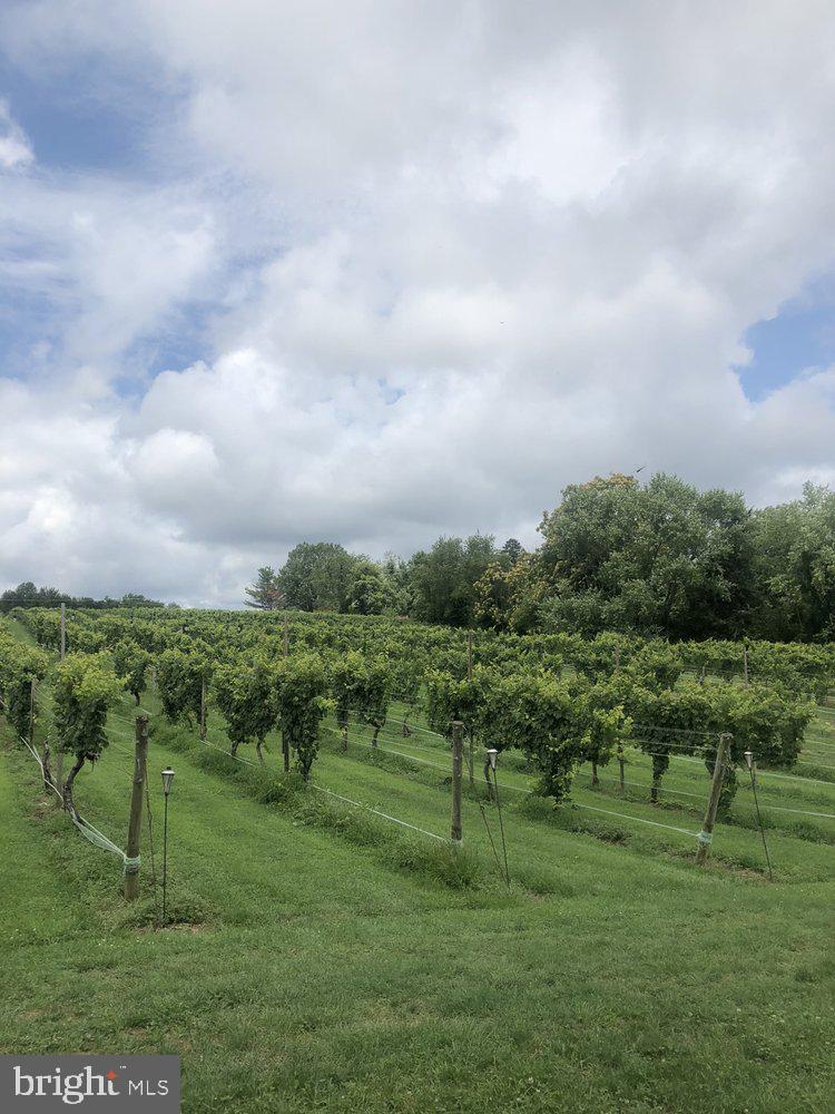 NONE AVAILABLE - Commercial Sale