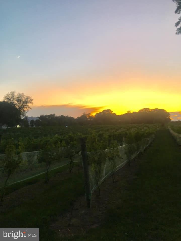 NONE AVAILABLE - Commercial Sale