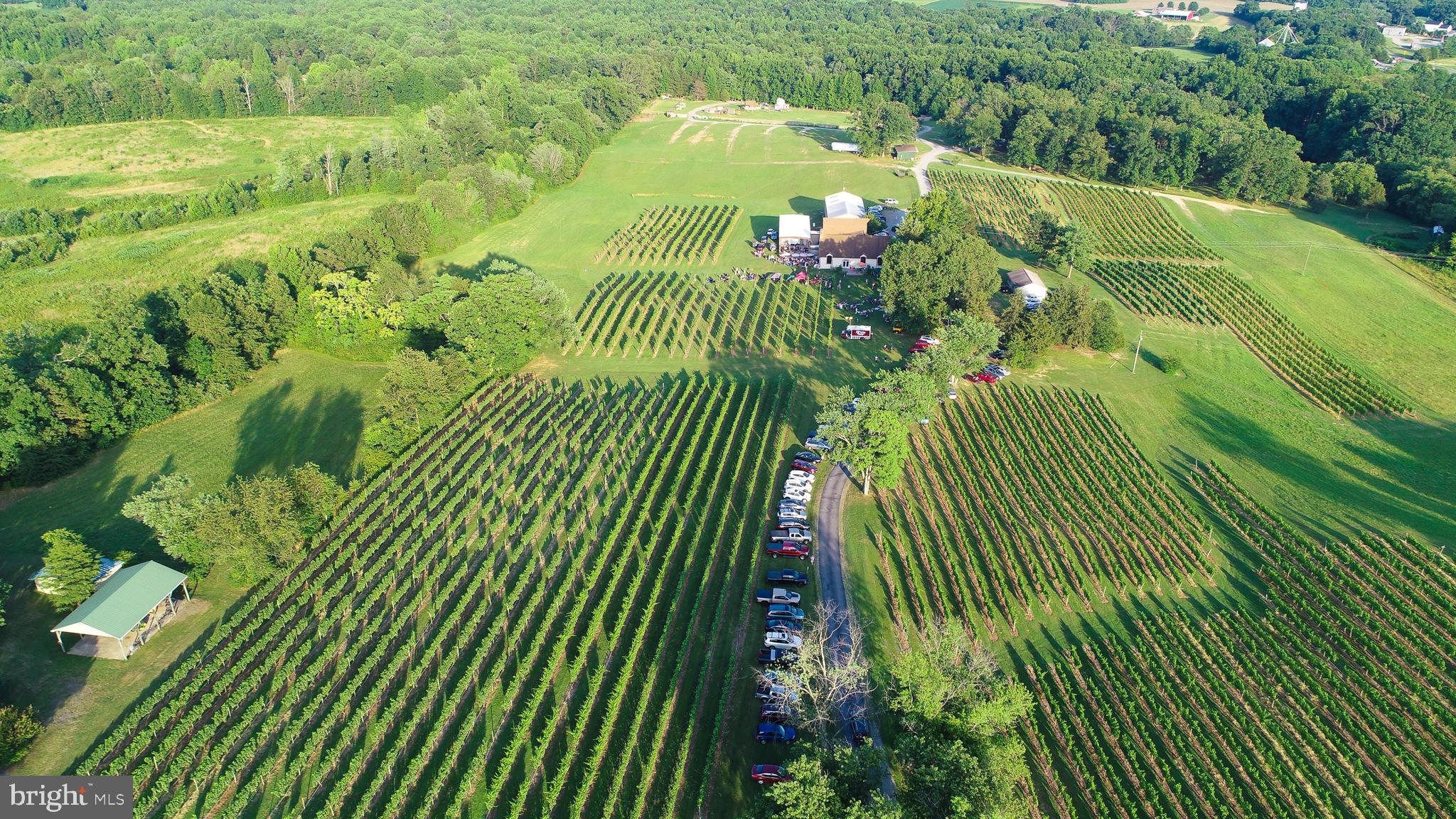 NONE AVAILABLE - Commercial Sale