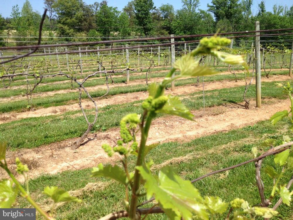 NONE AVAILABLE - Commercial Sale