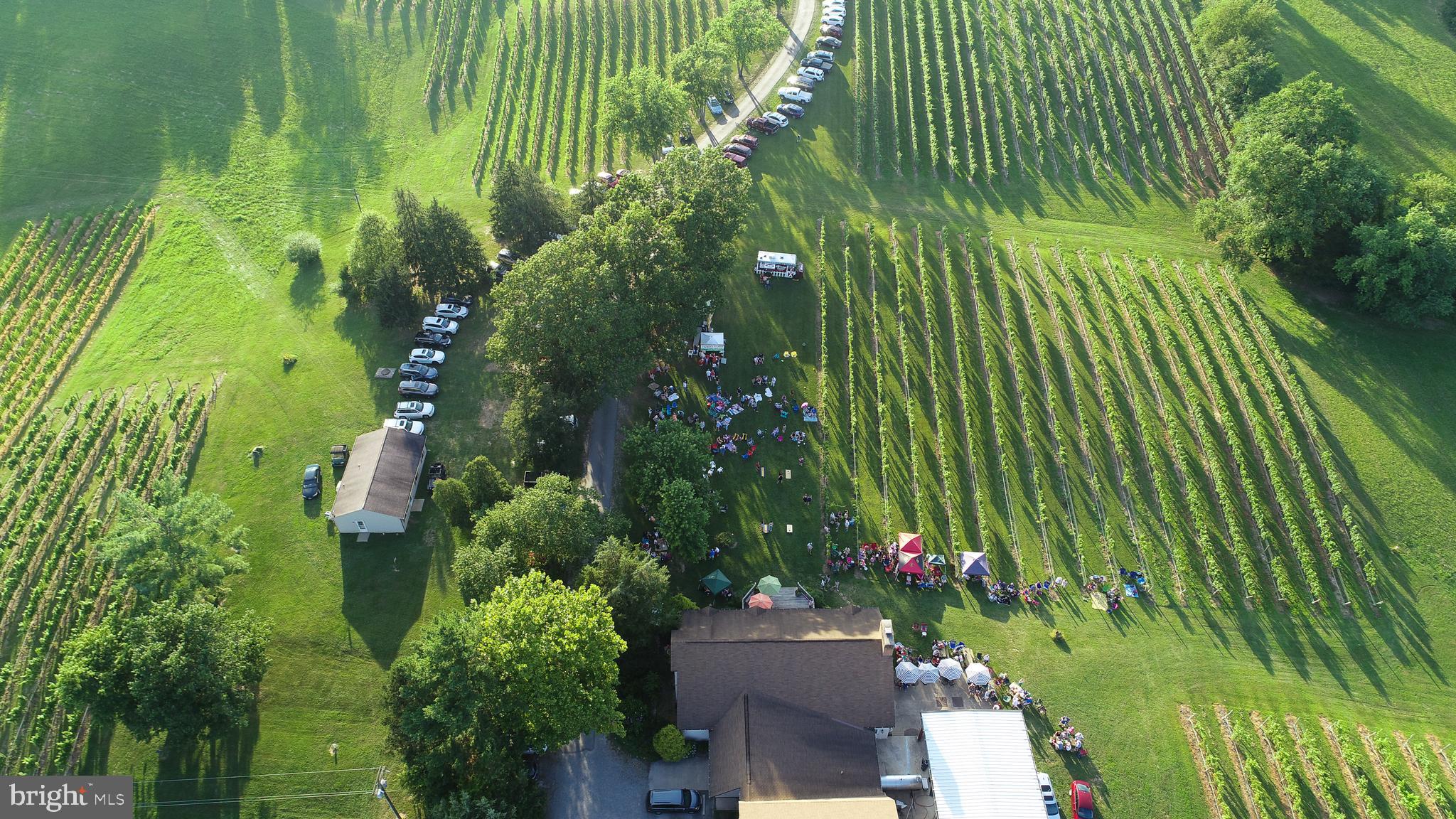 NONE AVAILABLE - Commercial Sale