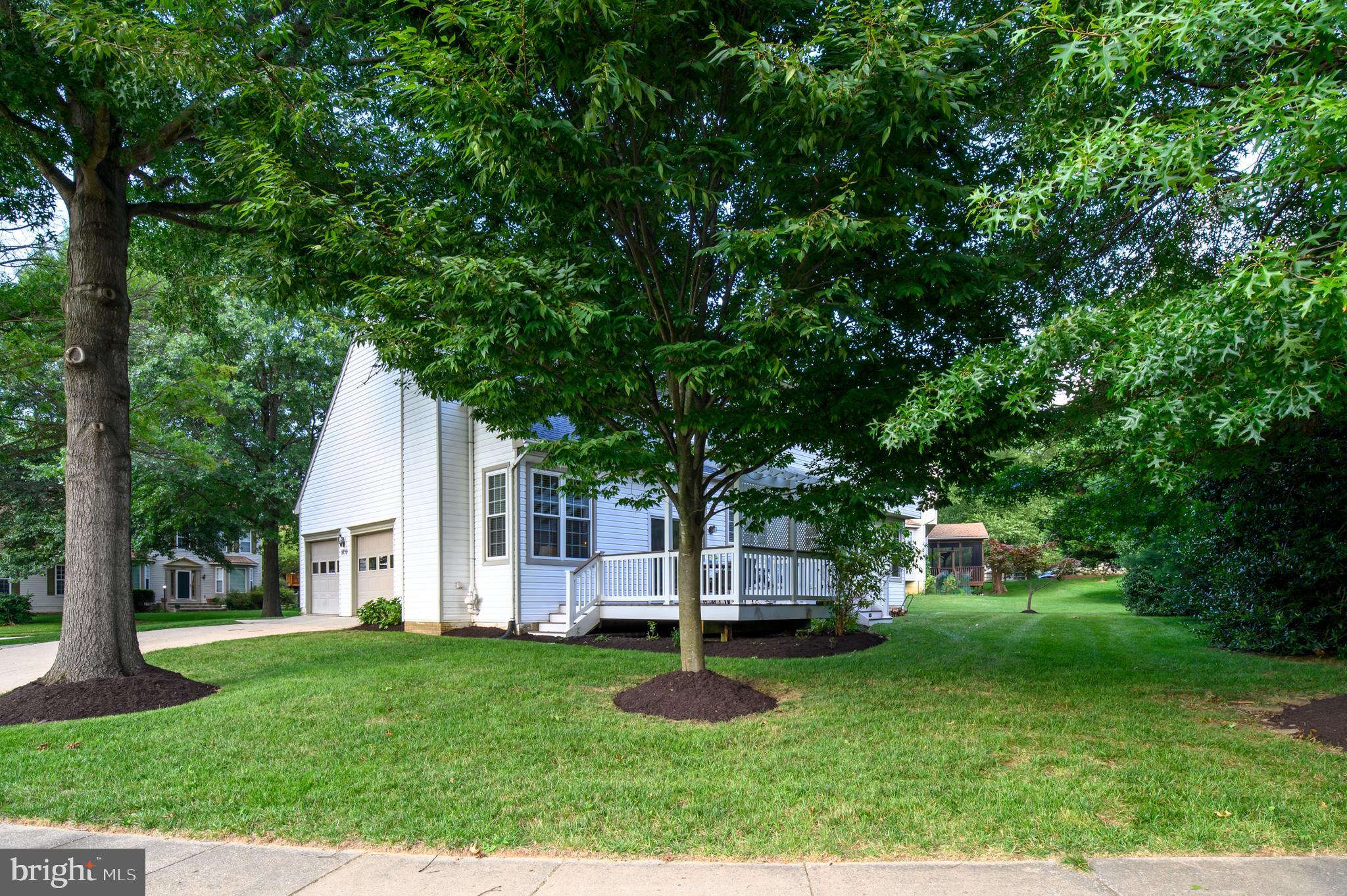 OAK TREE - Residential