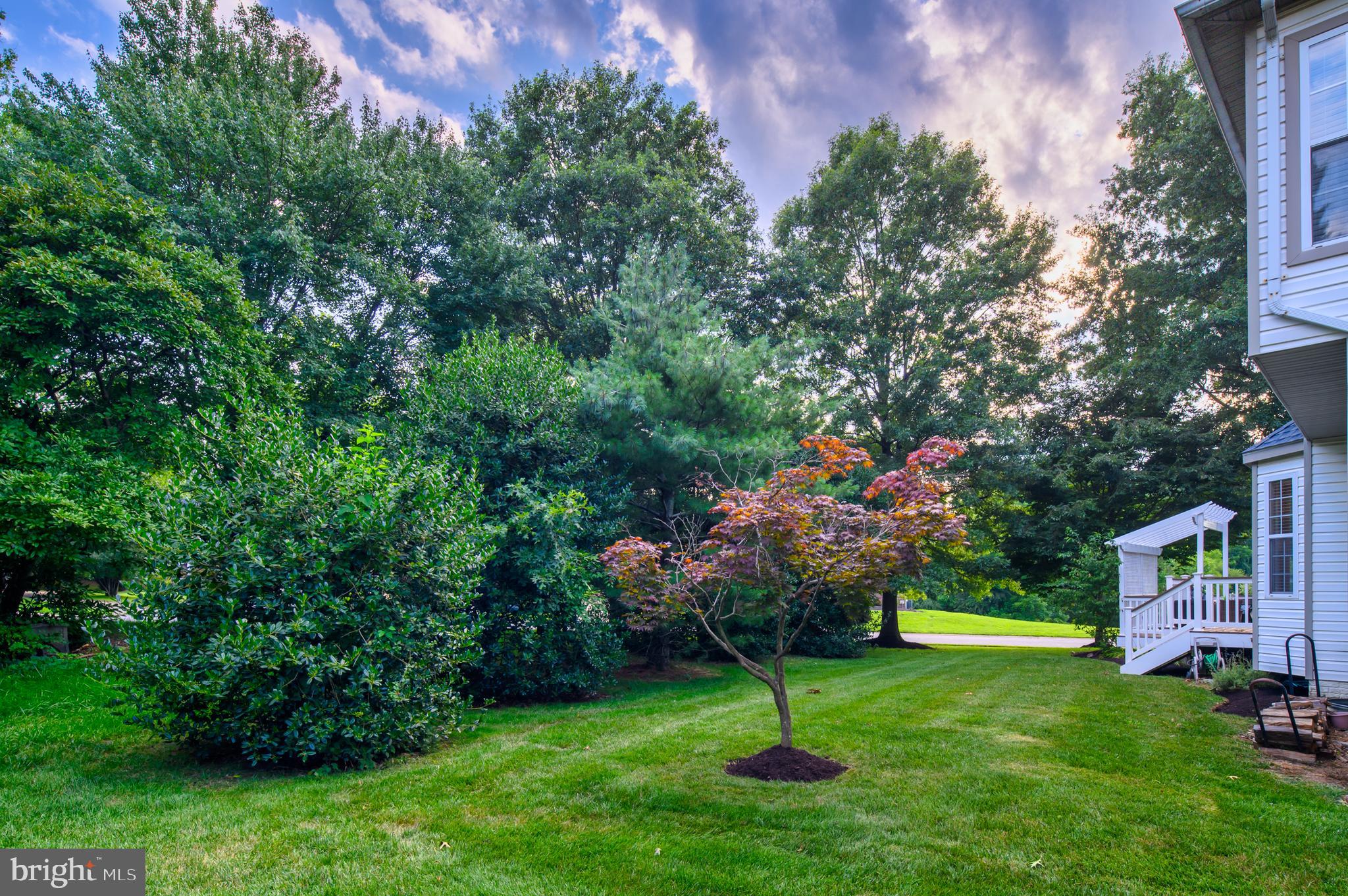 OAK TREE - Residential