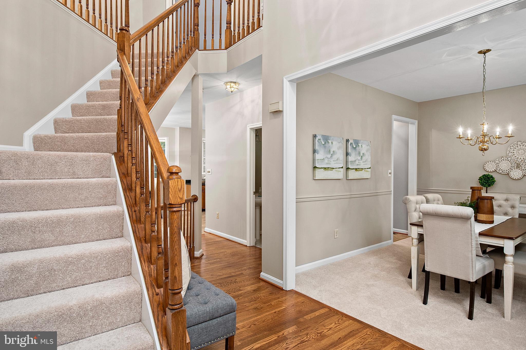 OAK TREE - Residential